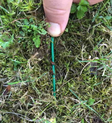 Drücken Sie das Begrenzungskabel für den Sileno-Mähroboter am besten unter die Grasnarbe und fixieren es mit den mitgelieferten Haken.